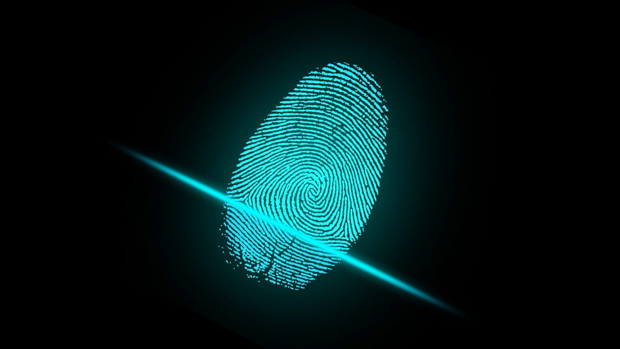 finger, fingerprint, security