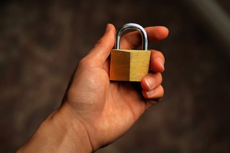 Best Identity Theft Protection Services After a Malware Infection